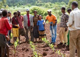Nuru Ethiopia Farmer Households Are Better Off Than Non-Nuru Farmers
