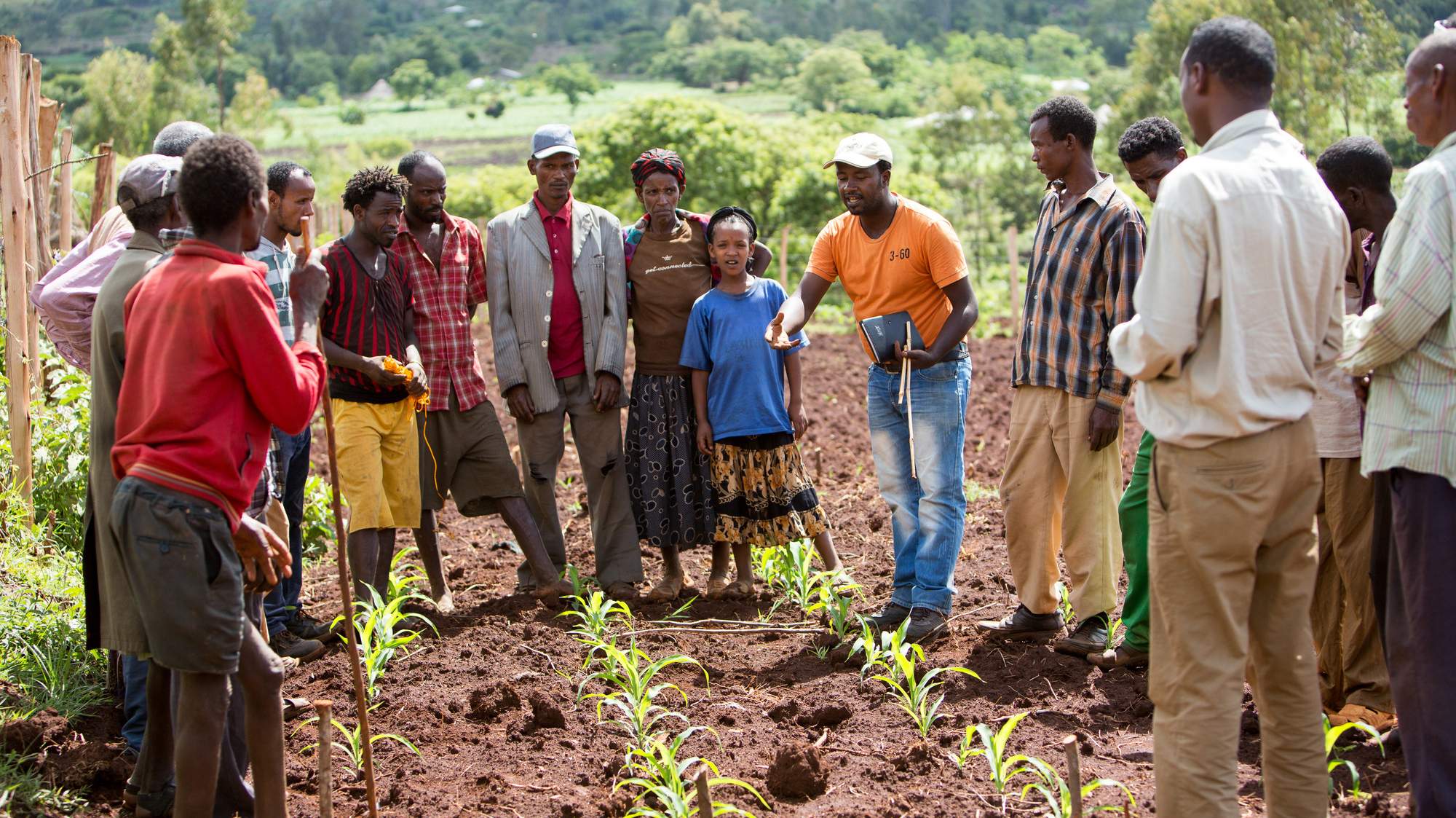 Nuru Ethiopia Farmer Households Are Better Off Than Non-Nuru Farmers