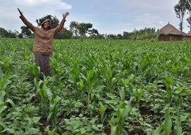 How Banchi Helped 154 Nuru Farmer Households