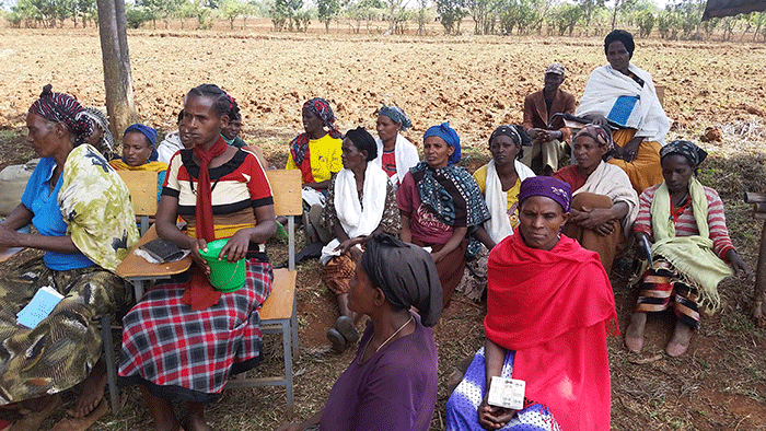 Why the majority of Nuru Ethiopia ‘savers’ are women