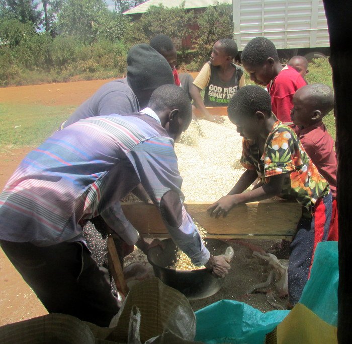 Farmers sieve the maize kernels through a screen to remove impurities such as soil, vegetation or pebbles. Producing high quality maize helps farmers fetch a better price at market. By applying these practices at home, farmers are able to store their grain longer and more reliably.