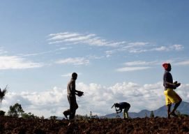 The effects of El Niño in East Africa
