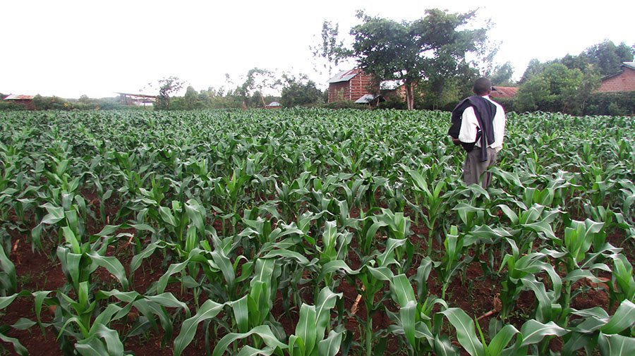 big farm mobile harvest cooperative