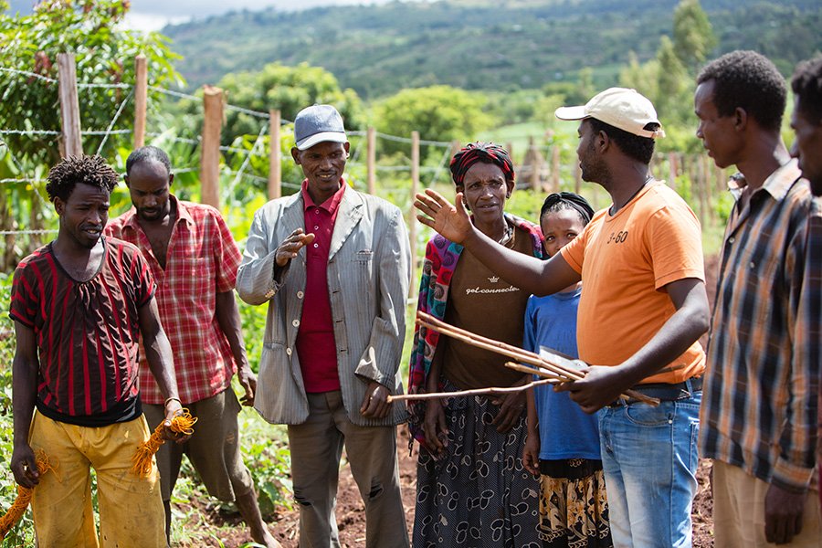 A Nuru Ethiopia field manager conducts agriculture training for member farmers