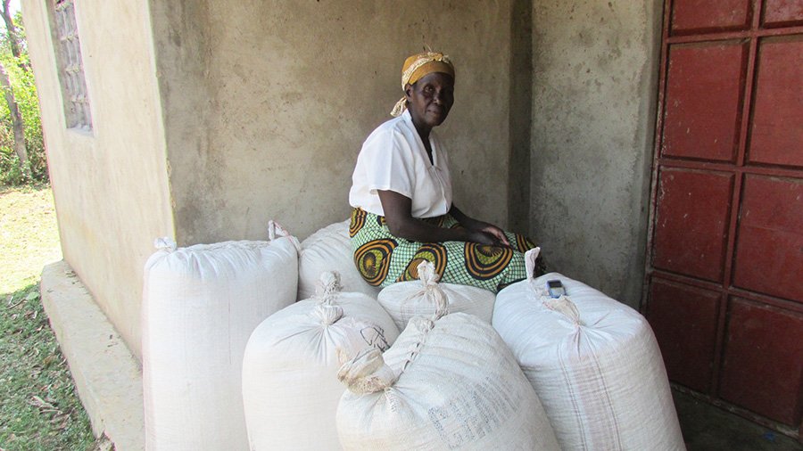 Eunice Matingi Marwa, a Nuru Kenya farmer, with her successful 2016 maize harvest