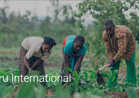 Nuru International featured on Google for Nonprofits
