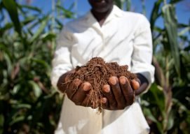 Nuru Farmers in Kenya Receive Inputs