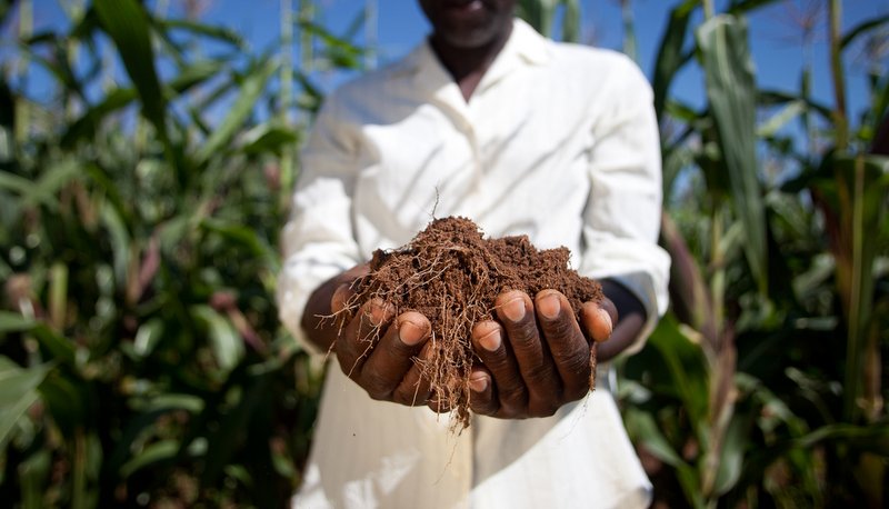 Nuru Farmers in Kenya Receive Inputs