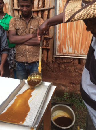 The Field Team learns about honey production through the Nuru pilot.
