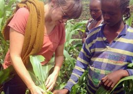 The Fall Armyworm (FAW) Outbreak
