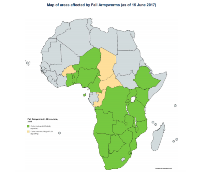 The FAW has spread from Nigeria, south to the Capes of South Africa, and north to Ethiopia in just under 2 years. (credit to UN Food and Agriculture Organization, 2017)