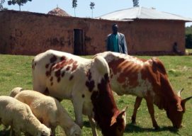 Petit Rebwi Inspires Fellow Community-Owned Cooperatives