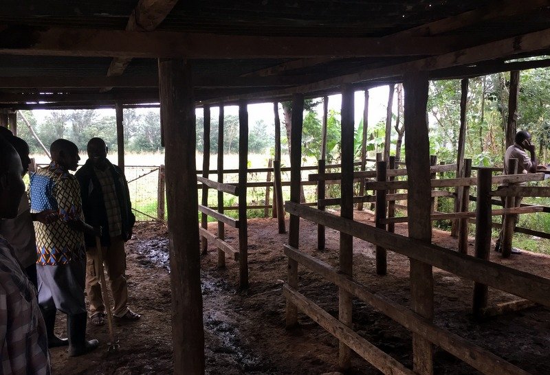 Obadia Munama walks the Nuru Rural Livelihoods team through his improved animal housing and feeding station