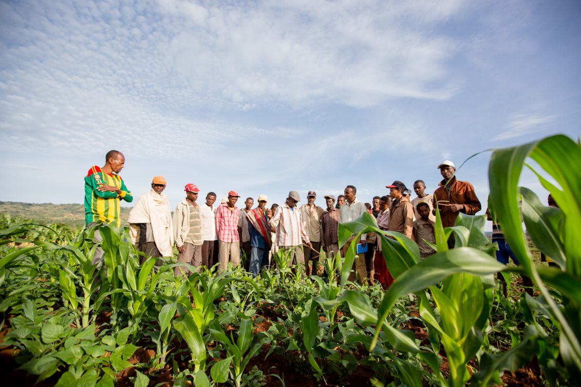 Nuru Partners to Build Sustainable Farmer Organizations