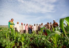 Nuru Partners to Build Sustainable Farmer Organizations