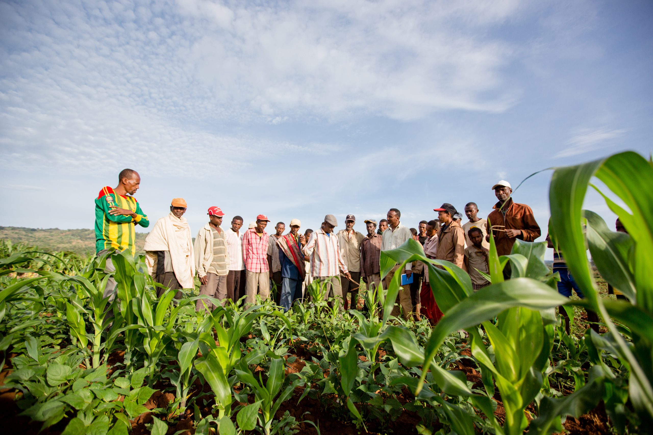 Nuru Partners to Build Sustainable Farmer Organizations