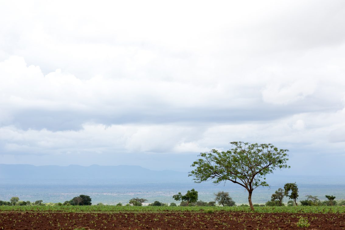 On-farm Livelihood Diversification for Rural Ethiopia