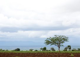 On-farm Livelihood Diversification for Rural Ethiopia