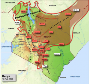 kenya desert locust migration