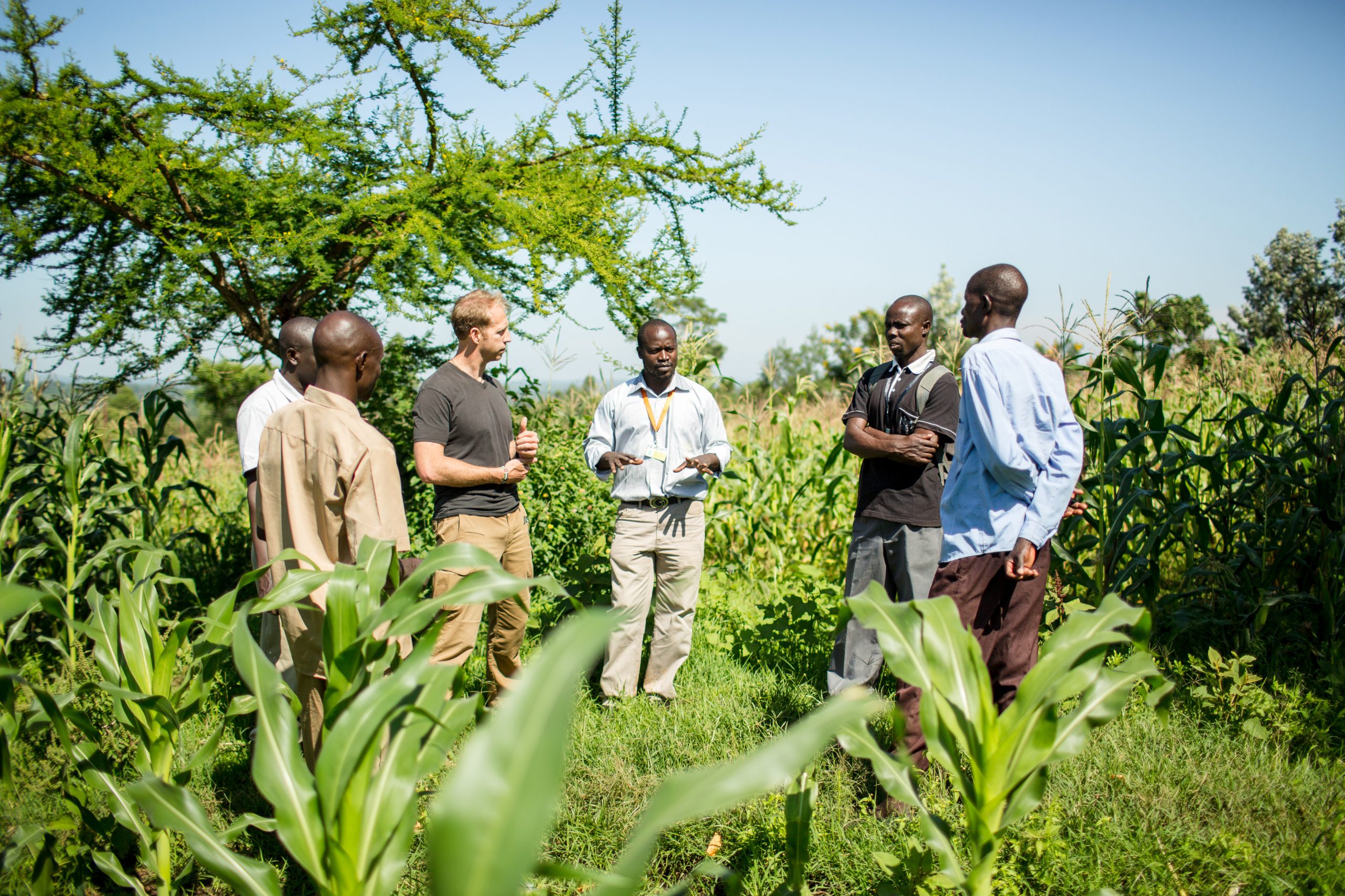 group of hope-filled leaders talking together in a field