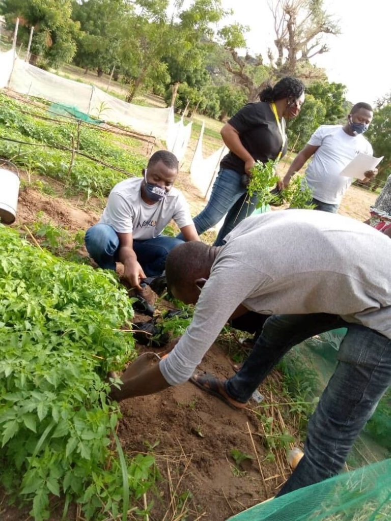 harvesting starts for farmers