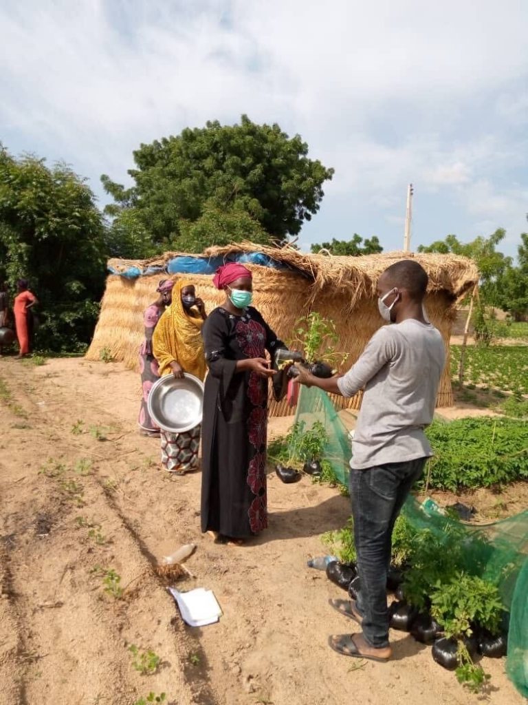 women in line to receive plant start for permagarden training