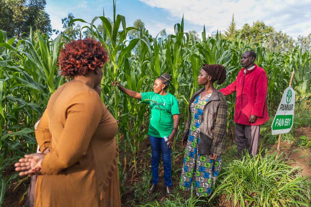 Nuru Kenya training - people standing in corn field together 