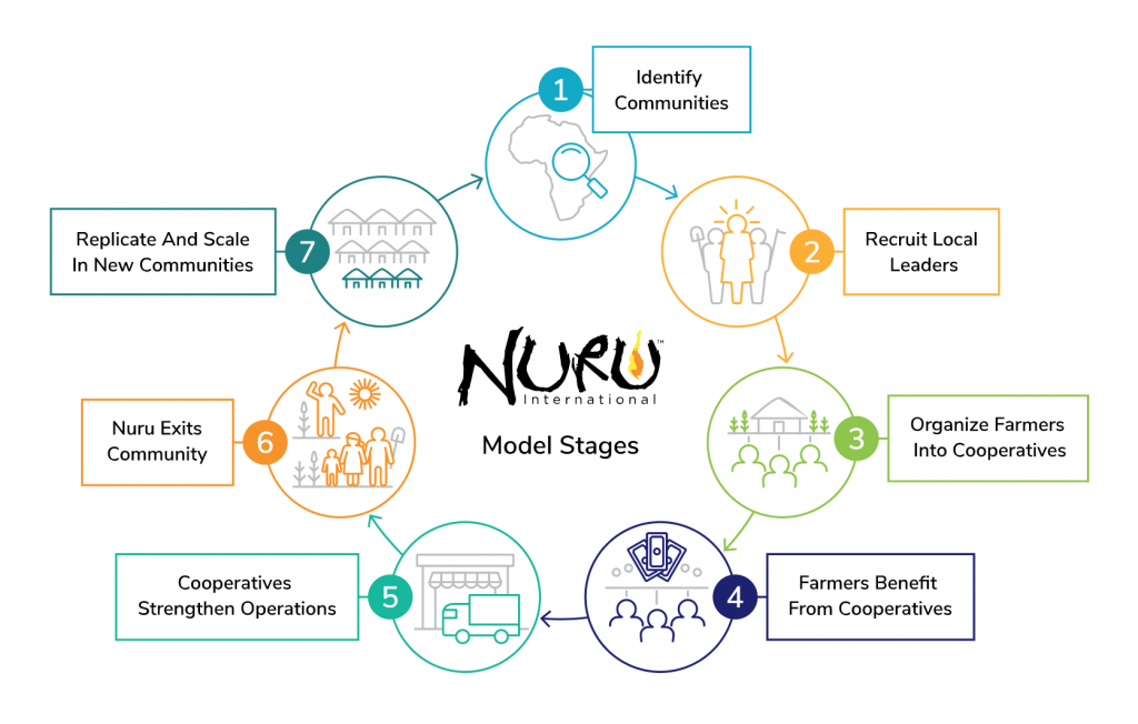 graphic of Nuru's model