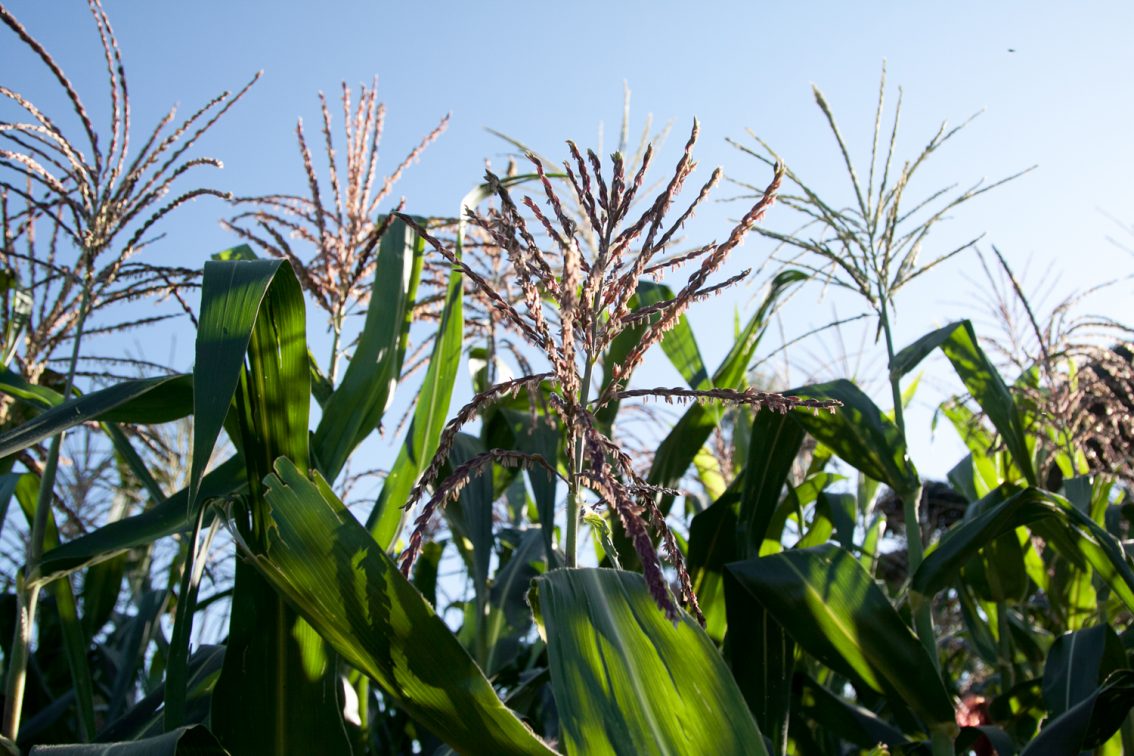 Nuru Kenya Expands Into Homa Bay County