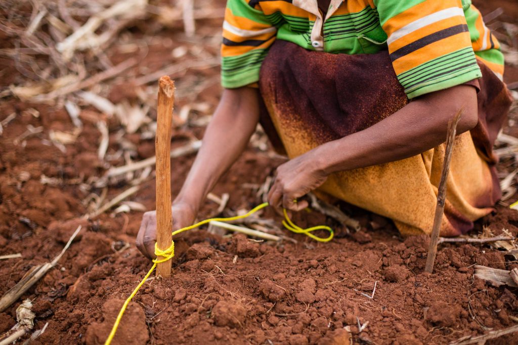 woman farmer planting seeds