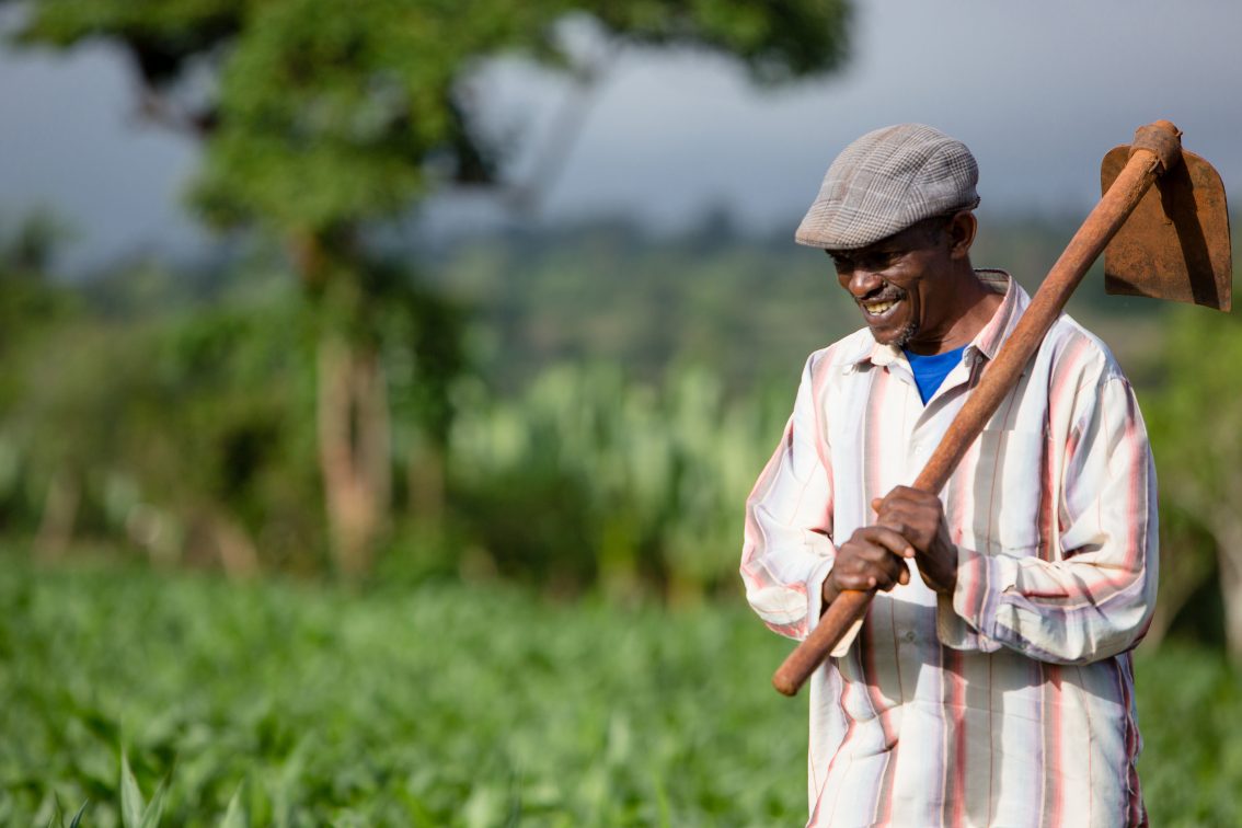 The Transformative Impact of Farmer Organizations in Ethiopia