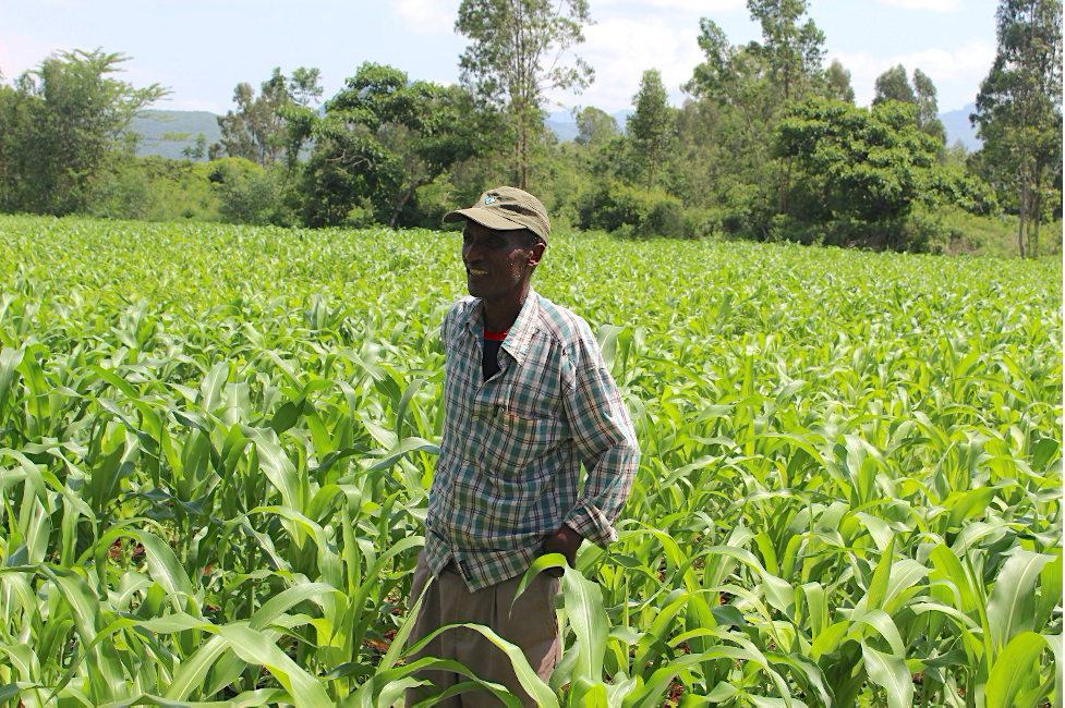 farmer in field