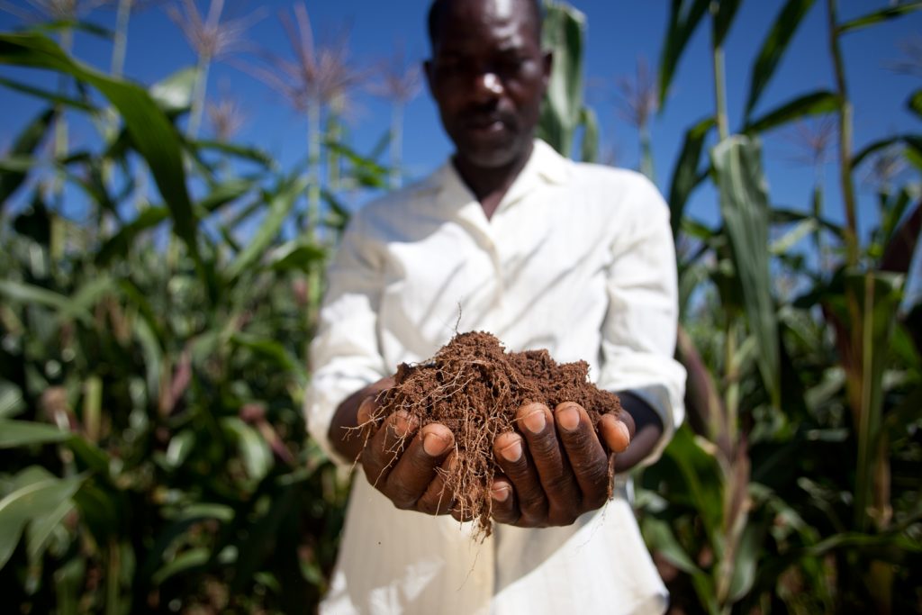 farmer holding healthy soil 