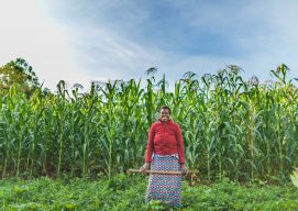 Farmer Organizations in Kenya Transform Communities