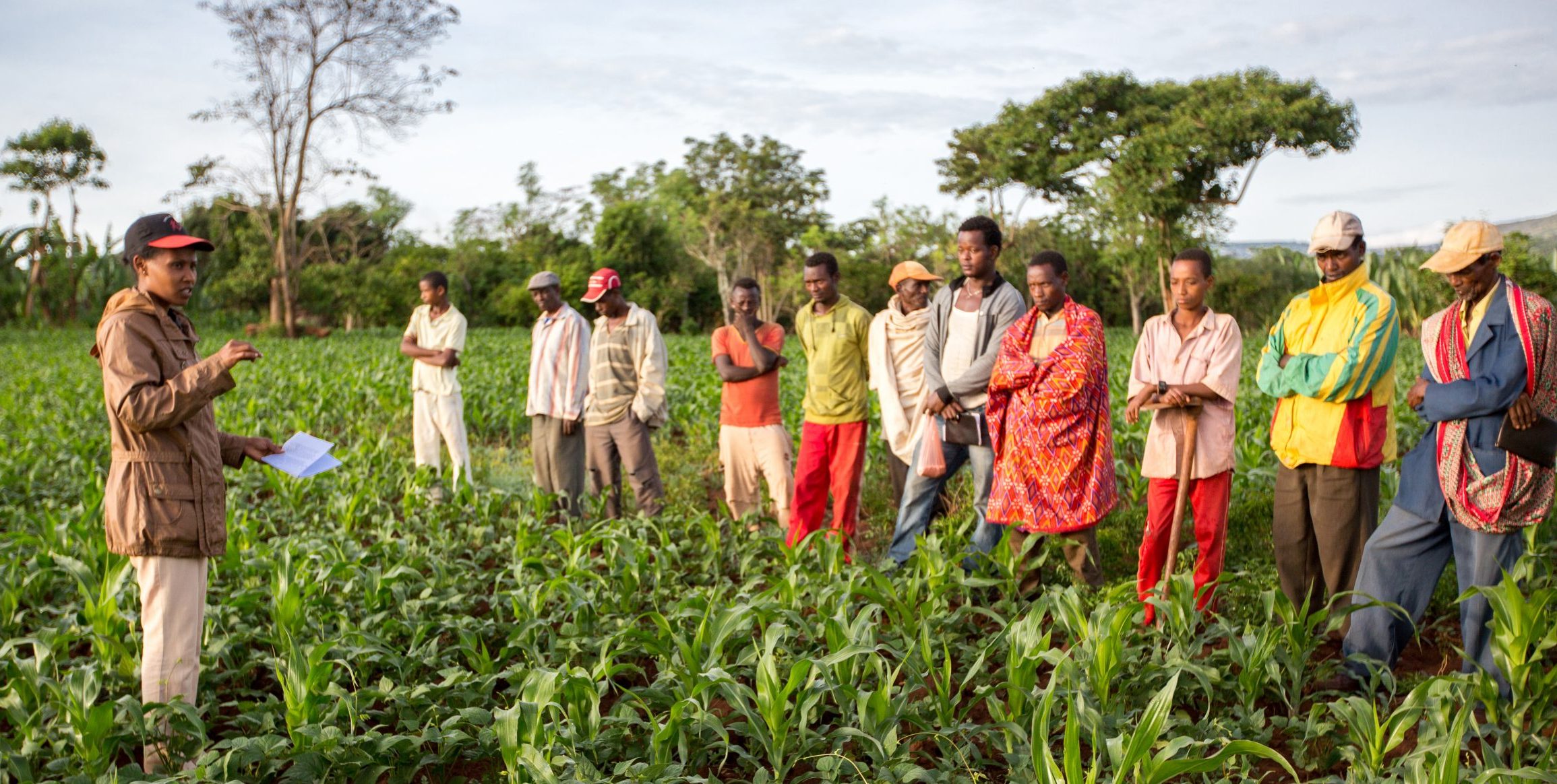 Gender Transformative Approaches: Inclusive Leadership