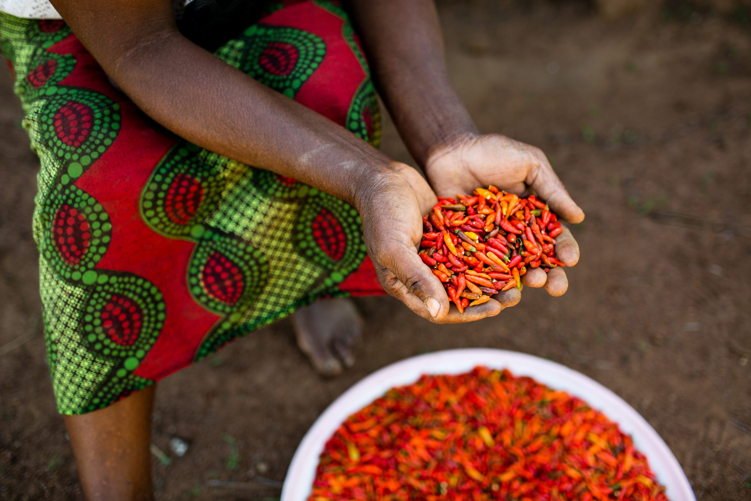 Gender Transformative Approaches at Nuru: Chili Pepper Farmer