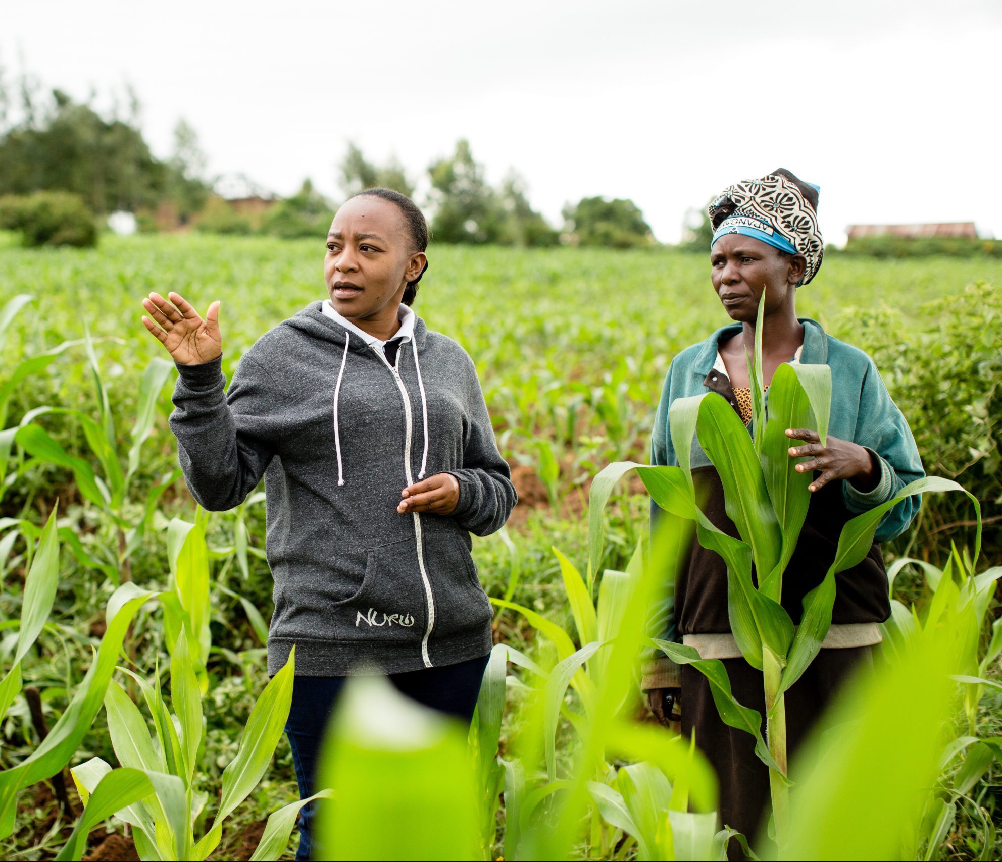 Women in leadership at Nuru: Pauline Wambeti