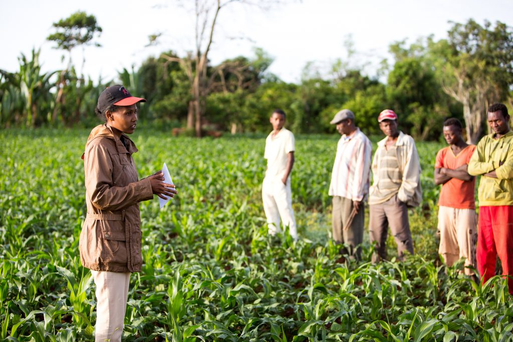 farmers and a trainer standing in a field earth day 