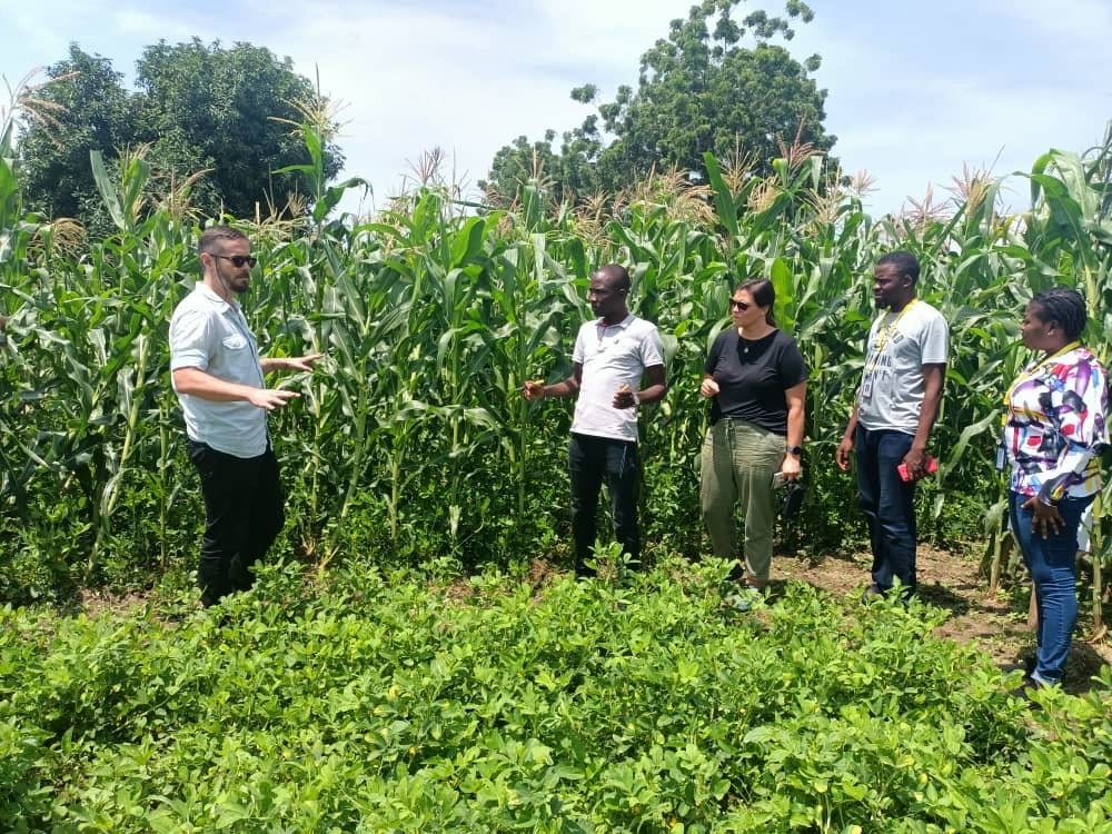 man offering instructions on climate smart agriculture practices to colleagues in a maize field