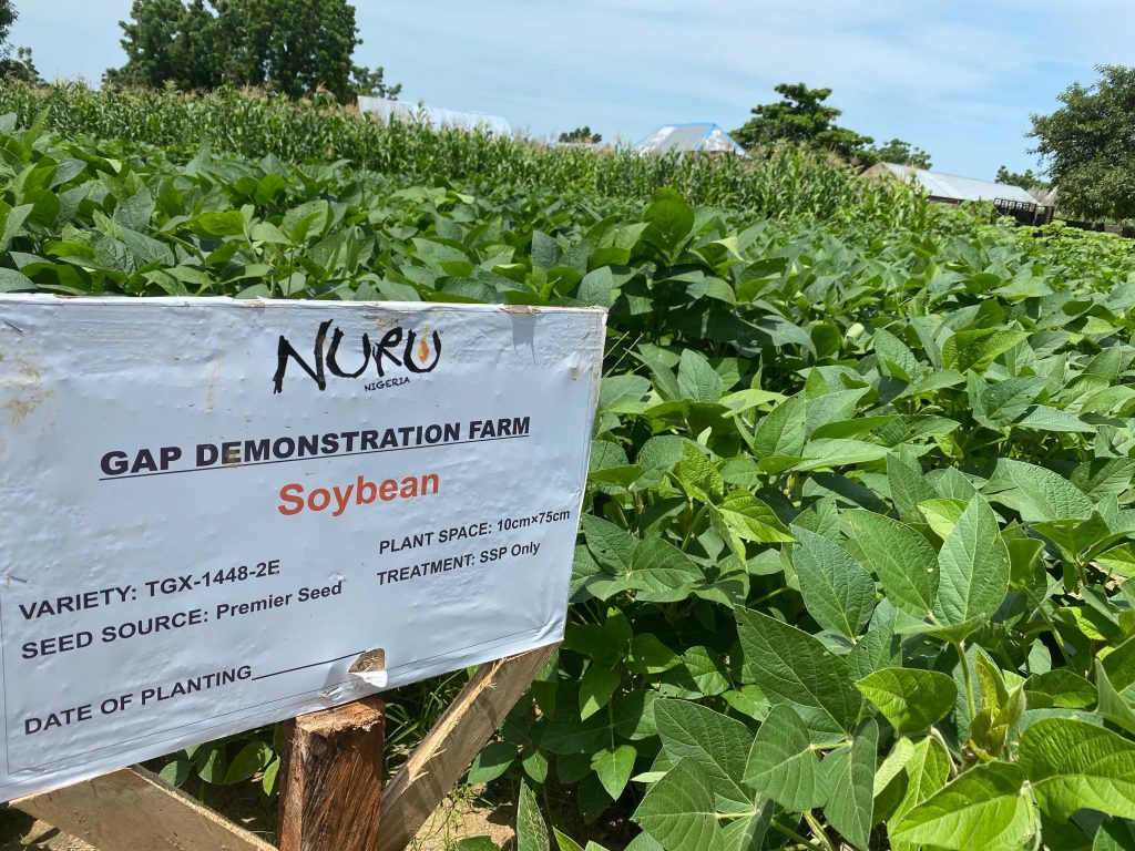 image of a Nuru Nigeria Demonstration plot sign and soybeans growing in the background