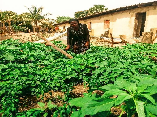 Farmer Anselina at her vegetable patch