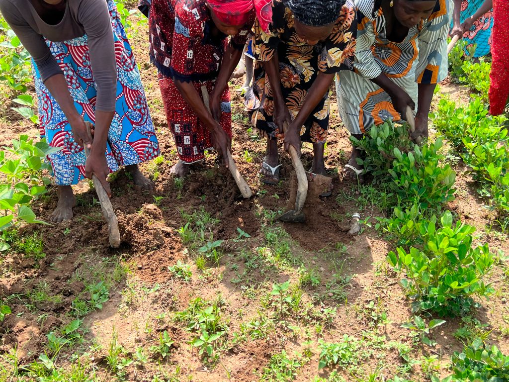 Women farmers working with farming tools