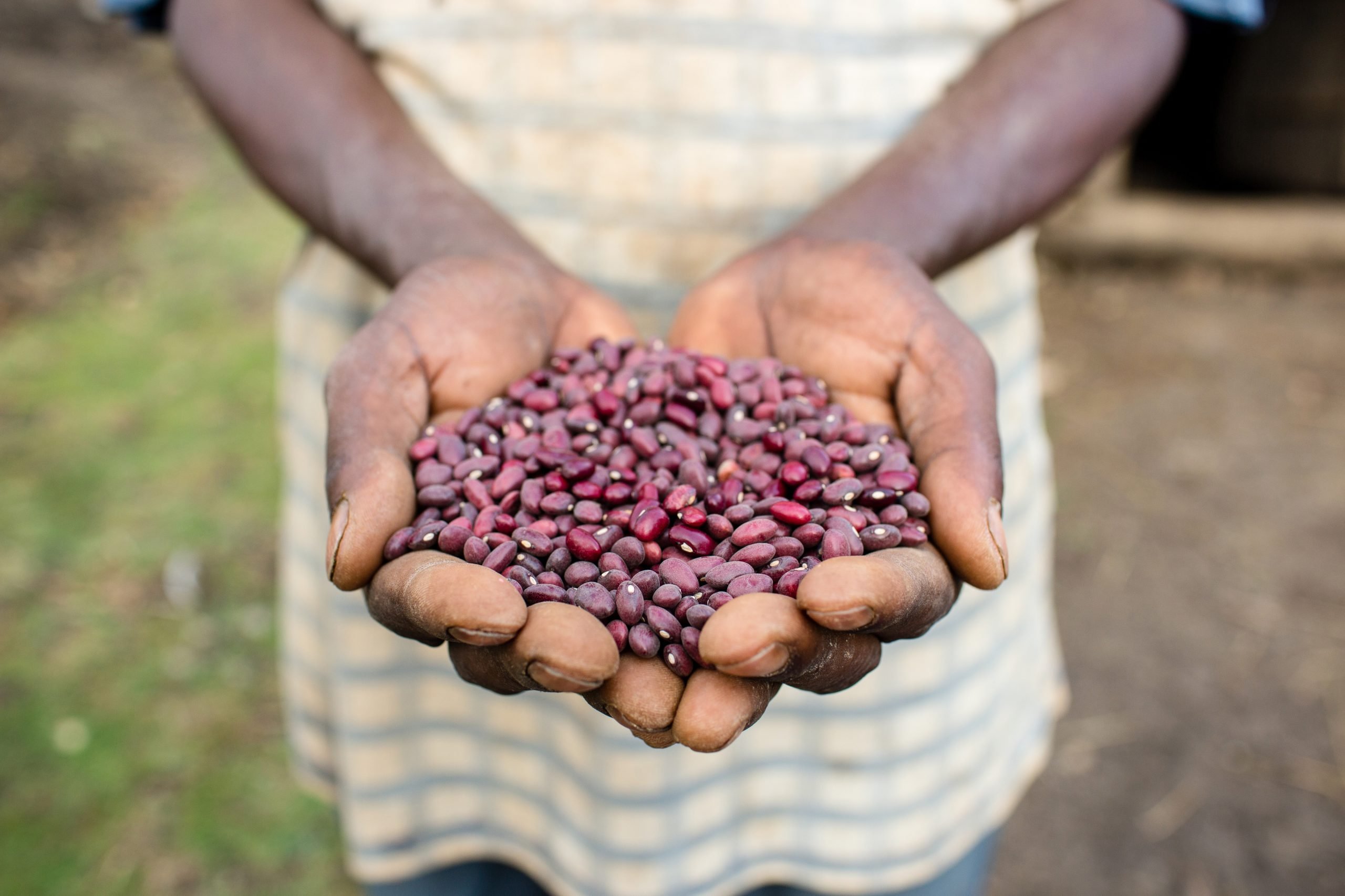 hands holding beans