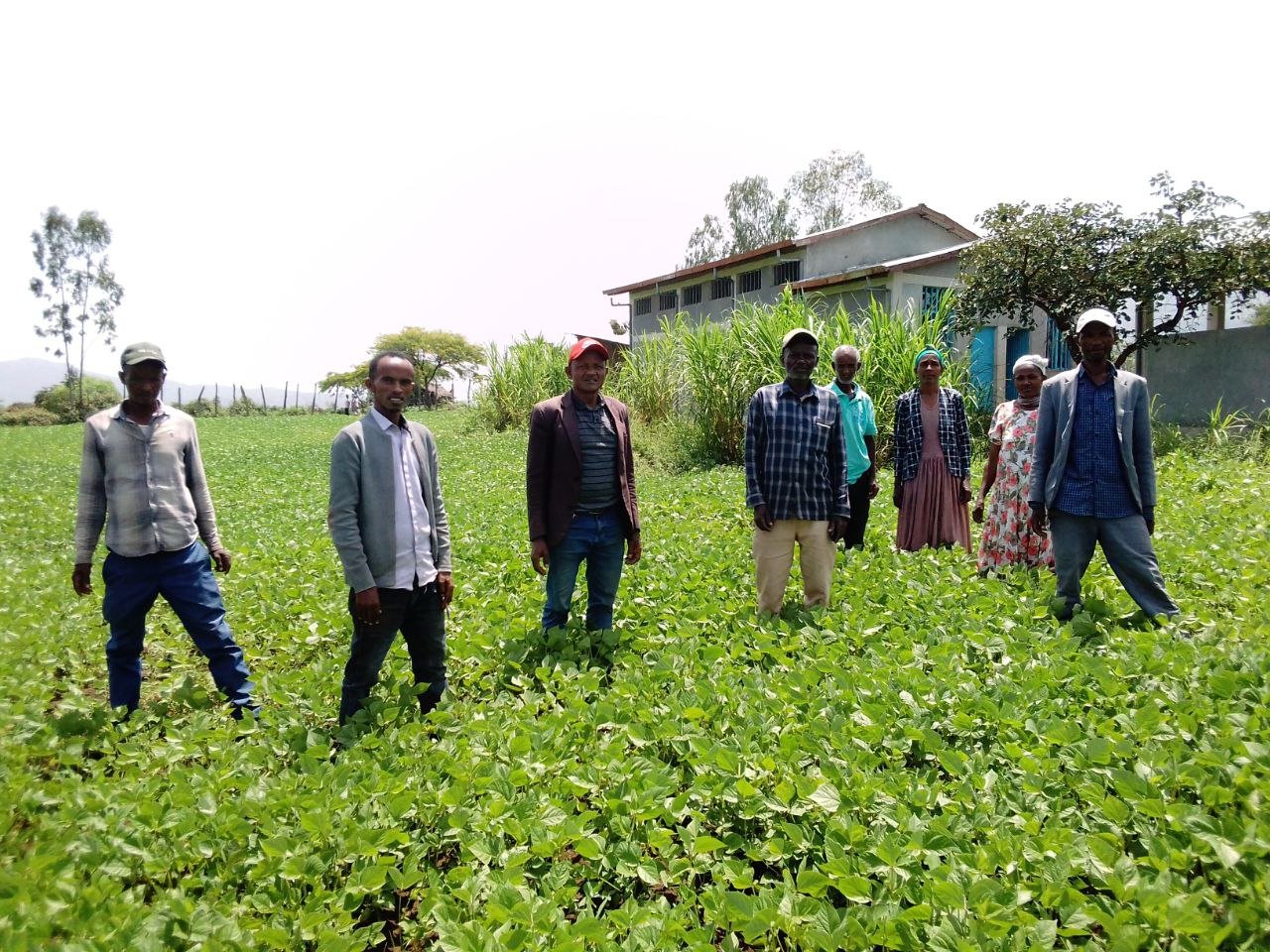 farmer cooperative members standing together in field 