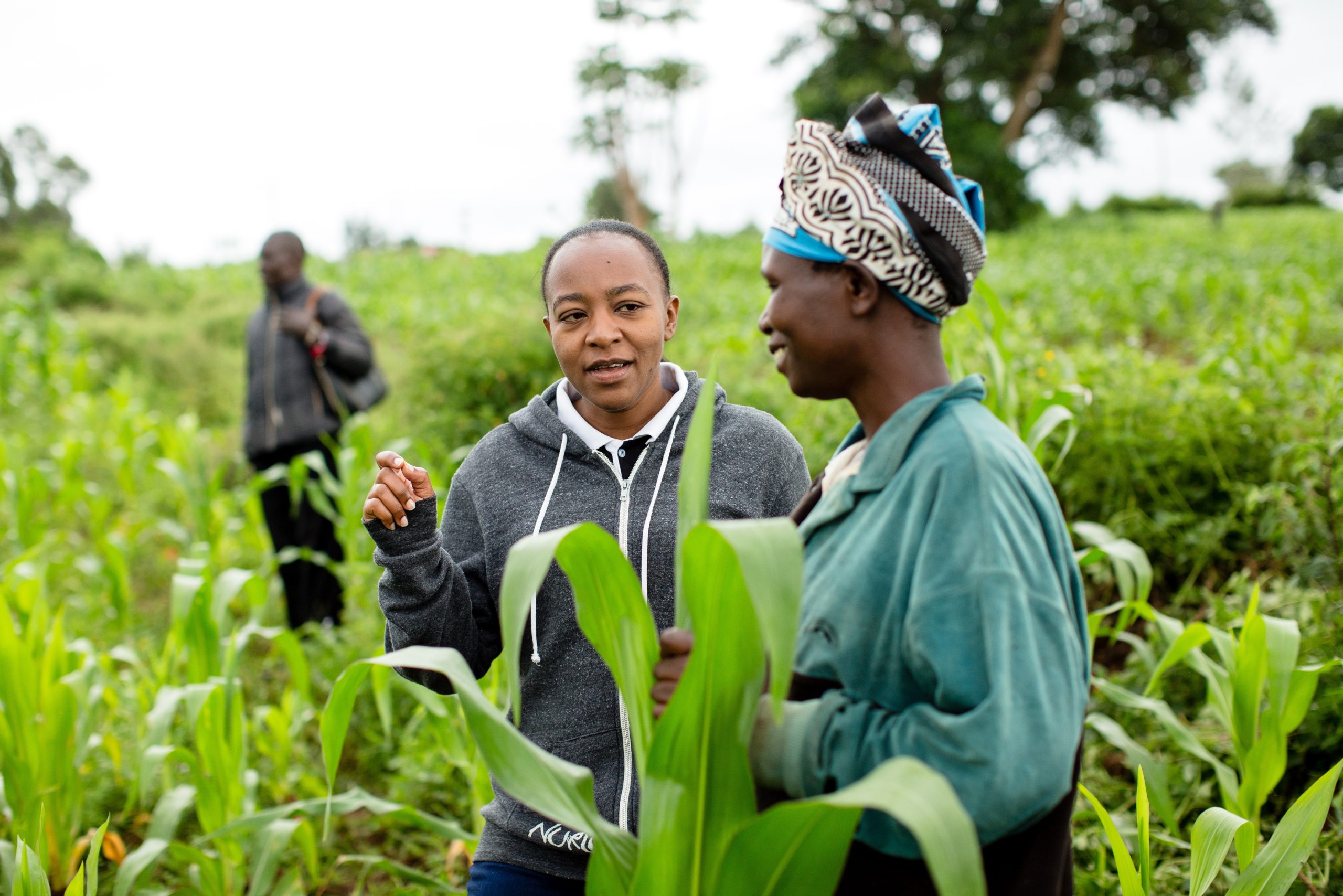 two women talking with each other in a field of corn