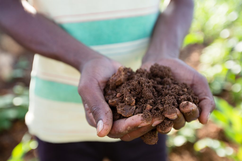 regenerative agriculture supports healthy soil