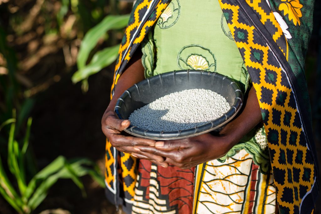 woman holding crop harvest in a bowl