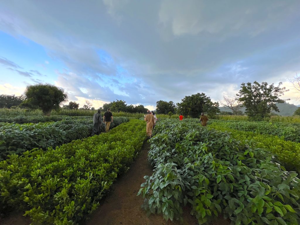 group of people in field in Nigeria