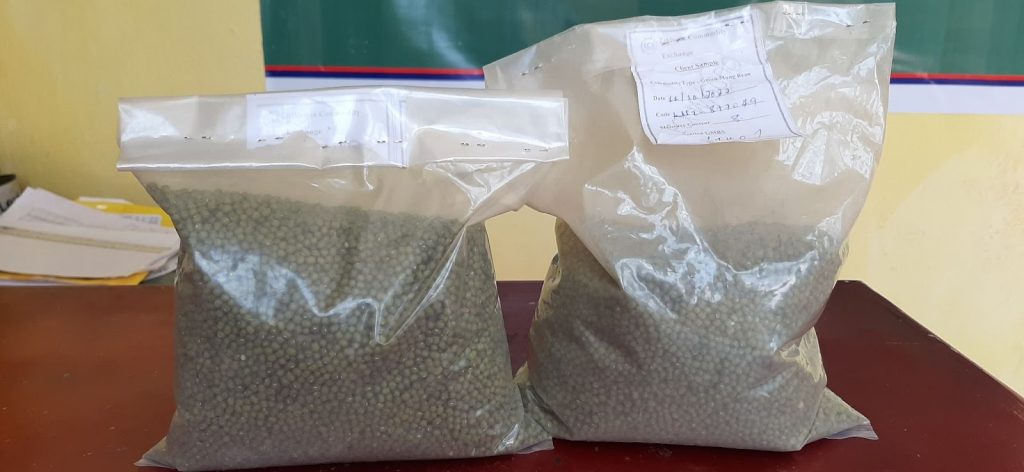 bags of mung beans sitting on a table