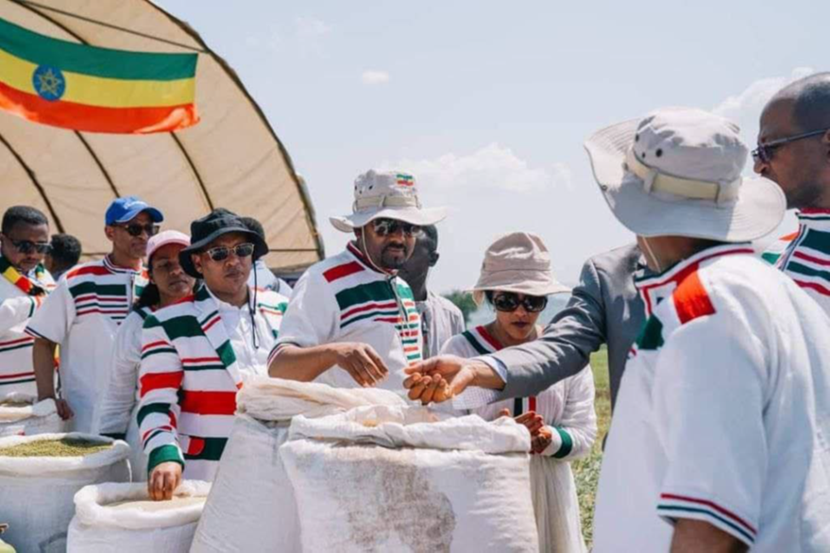 government officials in Ethiopia observe mng beans 